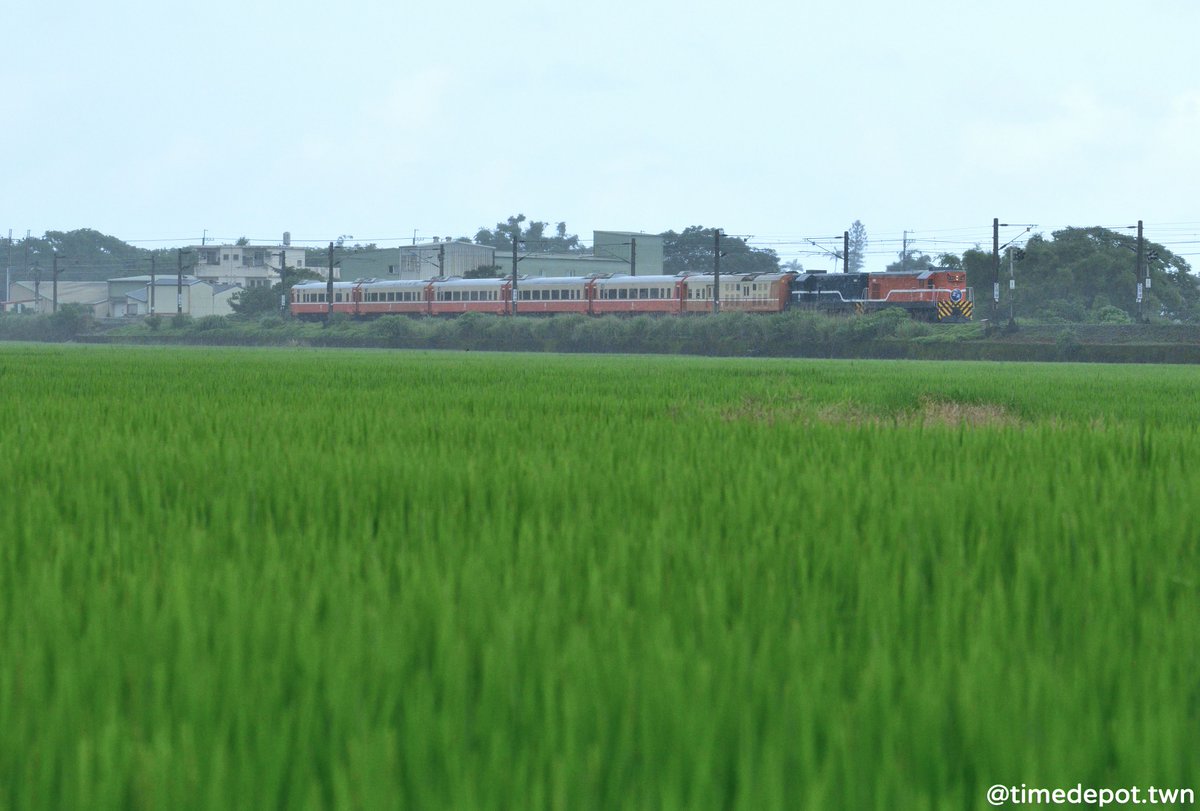 comet_115's tweet photo. 淡江大学鉄道部団体臨時列車
川も、海も、田んぼも、R20型莒光号の宜蘭線の旅。

2026.5.16. 6242~6242Bレ https://t.co/aCtkFVNLEV