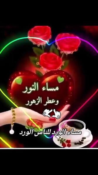 🌻💚شمس الاصيل💚🌻 tweet media