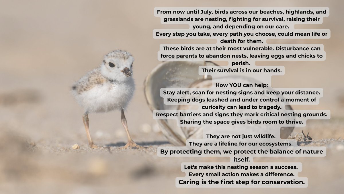 Wader Quest tweet media