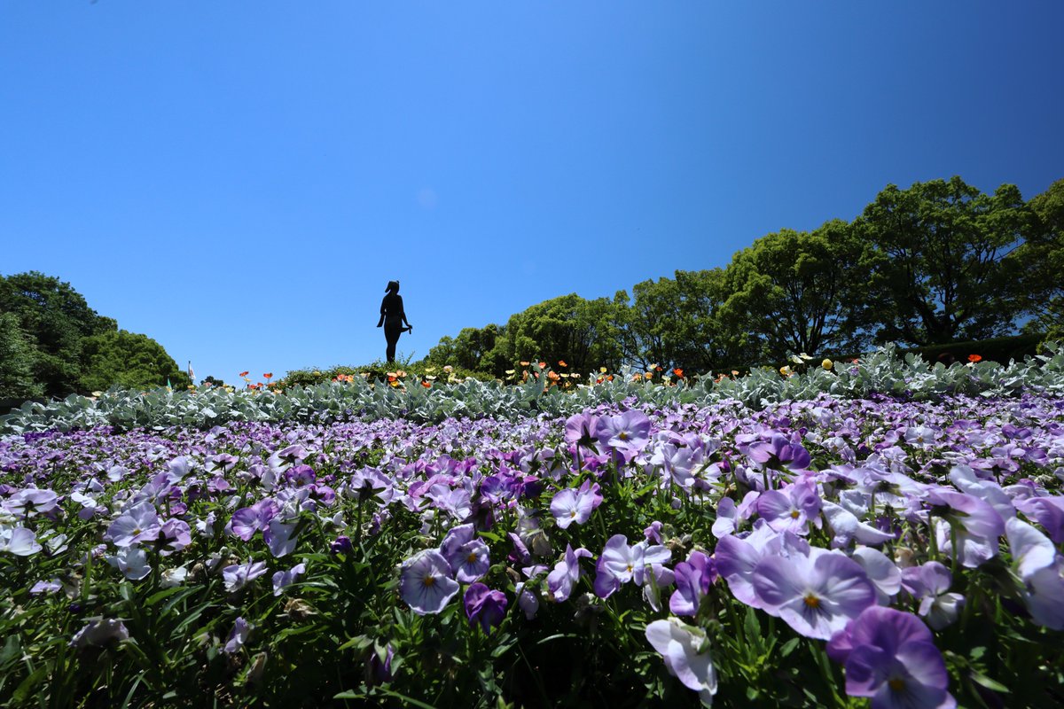 talphonse123's tweet photo. α7RVI ってどうなんだろね？
３２５０万画素でも充分奇麗だよね https://t.co/0CoPFBE8hd