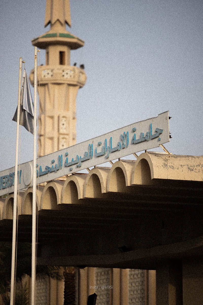 هزاع. tweet media