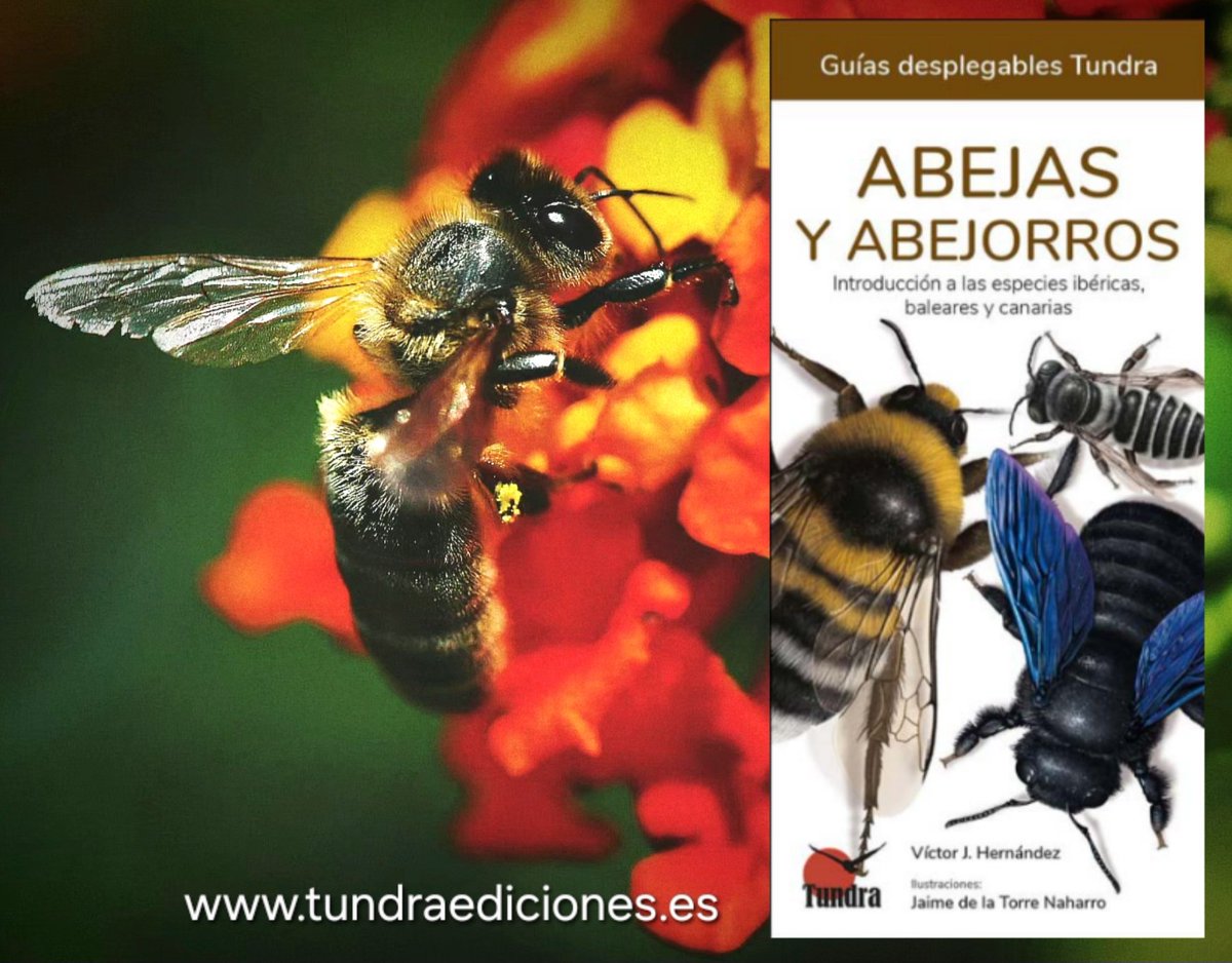 Tundra Ediciones tweet media