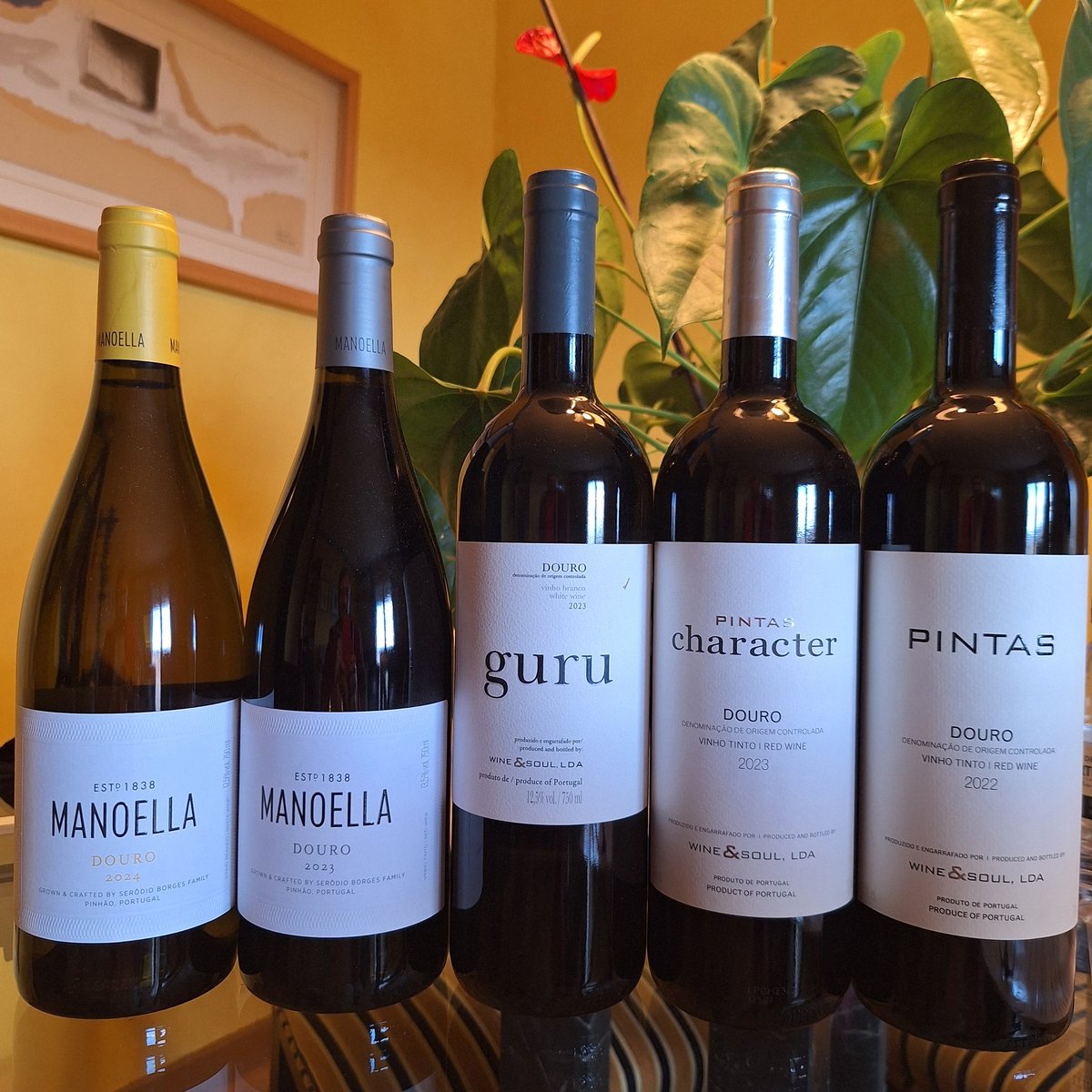 elbaranda's tweet photo. Mañana en el Enolobby Charro, grupo independiente de cata en Salamanca, tendremos en directo a Sandra Tavares y descorcharemos 5 vinos de la mejor enologa de Portugal 2025 para Revista de Vinhos 😉👌🍷

#wineblogger 
#winelover 
#vinhosdeportugal 
#tastewine https://t.co/MCrE3Qq286