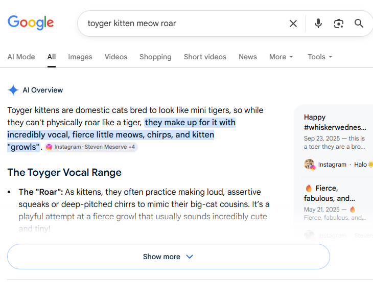 dgencookin's tweet photo. I did some digging into RoaringKitty and this is INSANE. The Cat Breed of his PFP is called Toyger (Because they Look like Tigers) 

Which makes sense when RoaringKitty made his name RoaringKitty (Roaring because the Toyger cat breed hasa weird Roar when they Meow) 

PLEASE LOOK INTO THIS, ITS ACTUALLY INSANE and totally makes sense from how RoaringKitty made his name. 

THIS SHOULD RUN 1000% PLS LOOK IT MAKES SO MUCH SENSE NOW