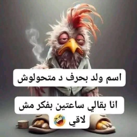 علي إسماعيل tweet media