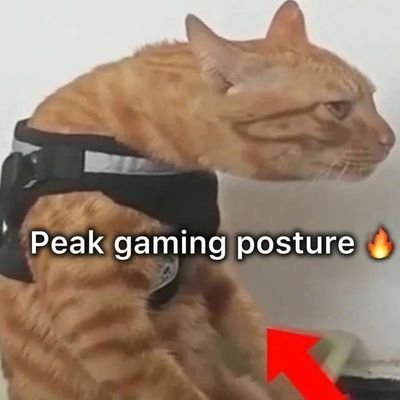 nanbread tweet media