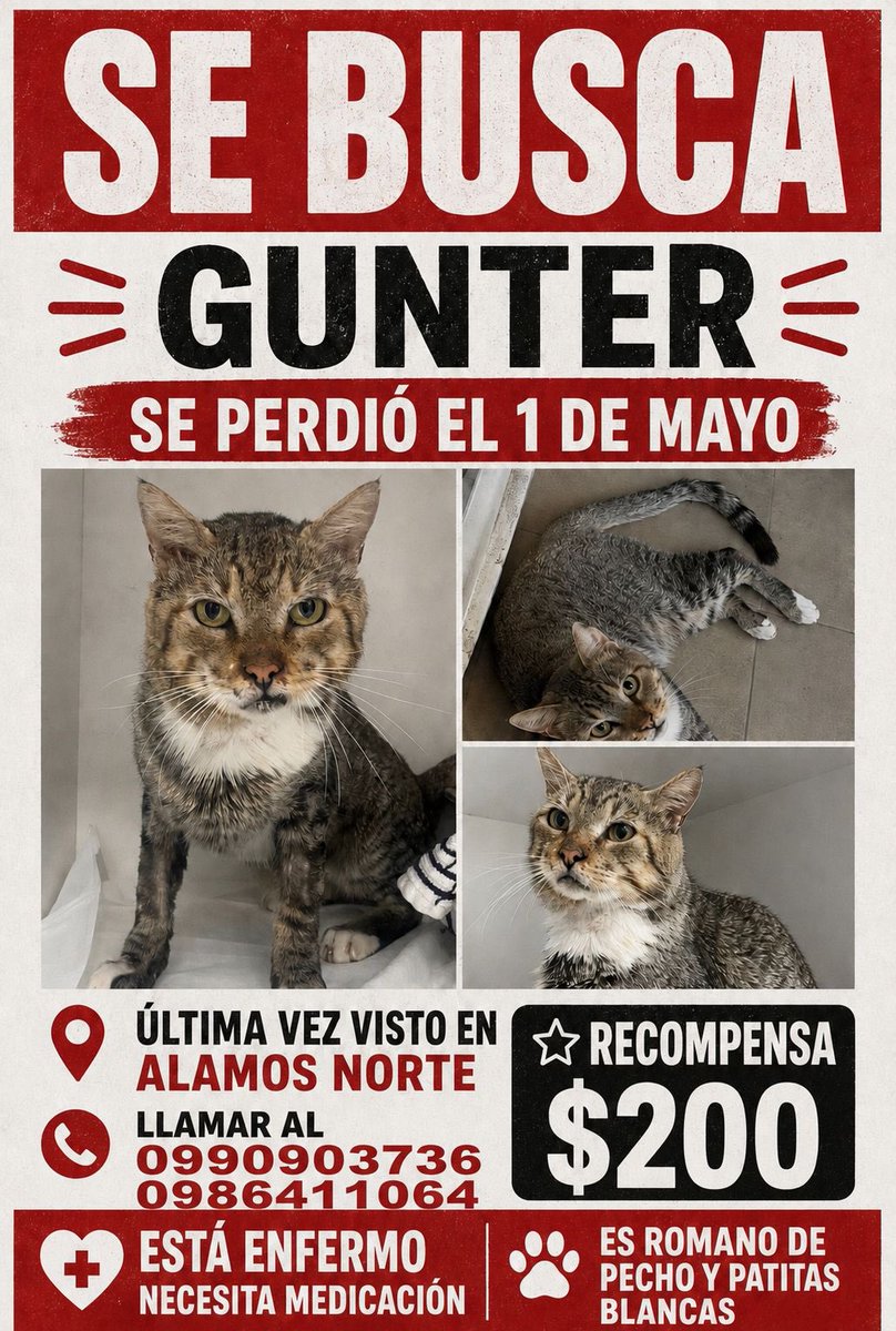 La Revolución Animal tweet media