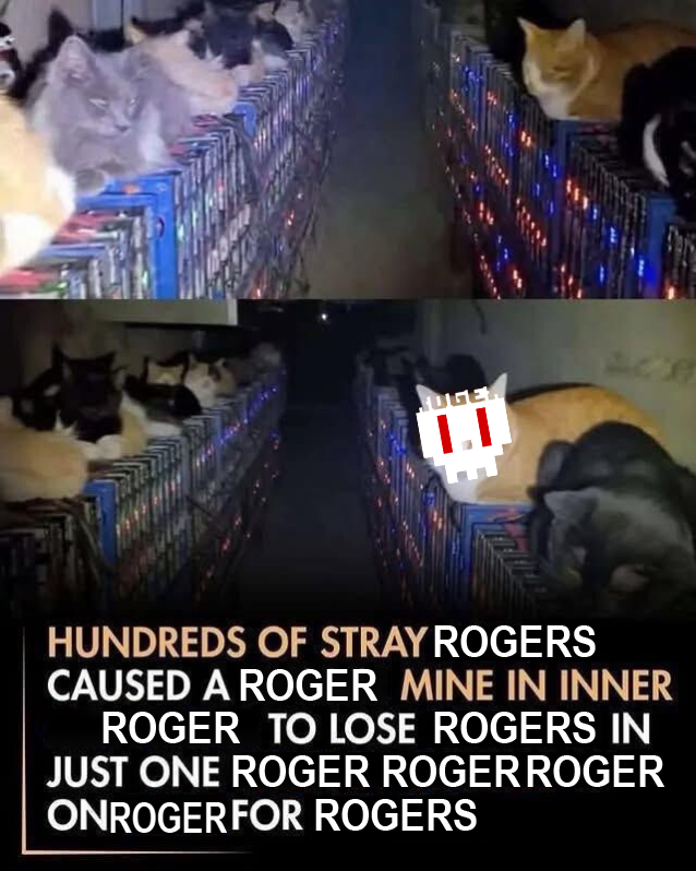 ROGERvisionTV's tweet photo. Roger. https://t.co/Ihibwz2iYL