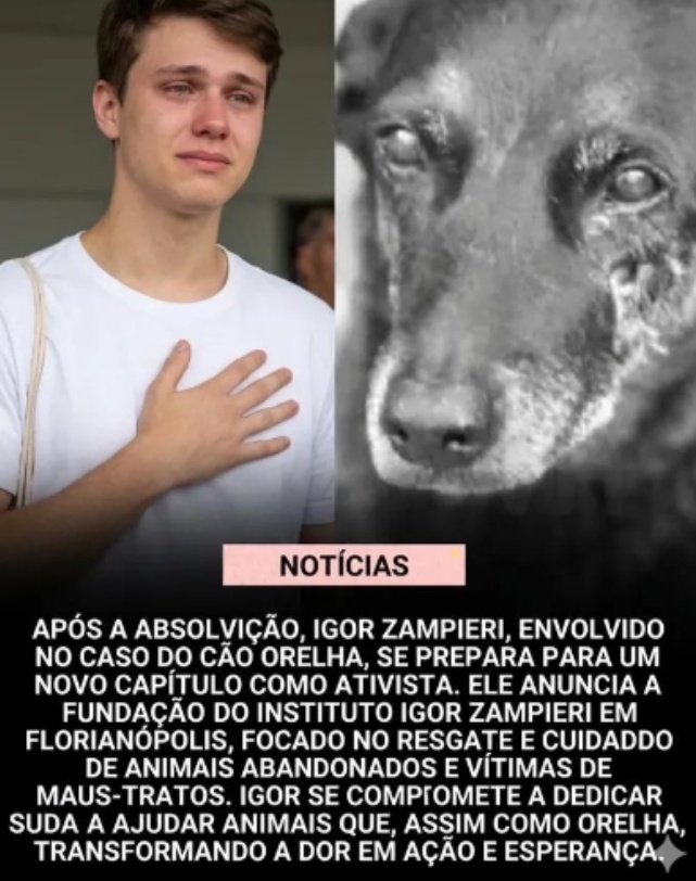 Stellula_'s tweet photo. Não tô acreditando nisso não... 😢 https://t.co/UE5FN2gTAq