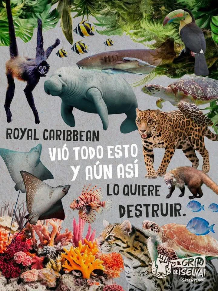 HuertoRomaVerde's tweet photo. La destrucción de un ecosistema vital por la construcción de una feria banal, no es el camino hacia la transformación real sino a continuar la dependencia con el Norte Global, @Claudiashein  no q ya se había acabado el neoliberalismo? 
@SEMARNAT_mx @PROFEPA_Mx 
@SelvameMX https://t.co/AgHBxnwZT9