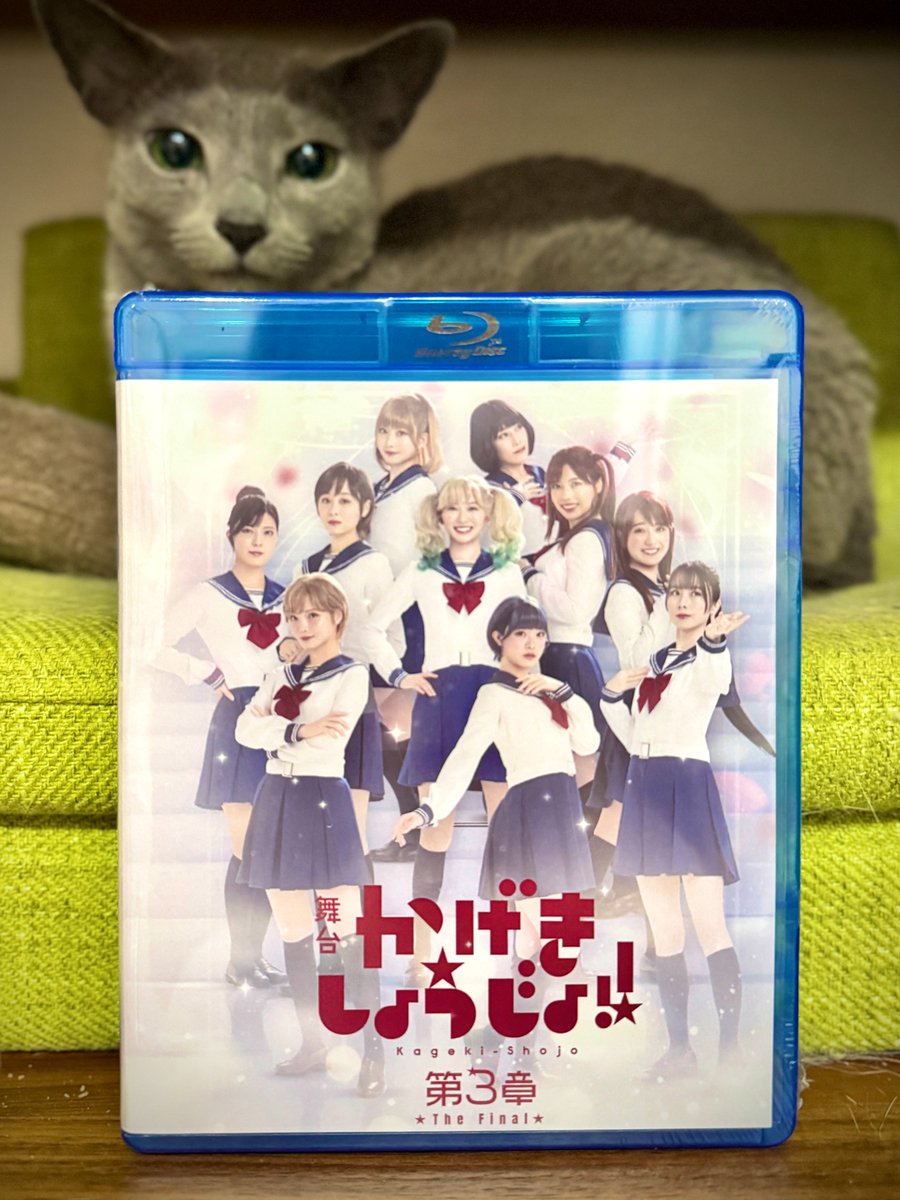 斉木久美子🏵️かげきしょうじょ!! (@Psy93) / Posts / X