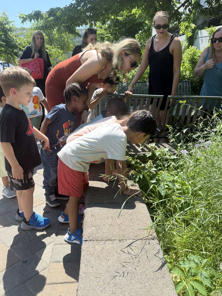 District 31 Pre-K Centers tweet media