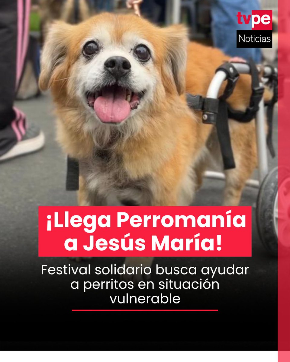 TVPerú Noticias tweet media
