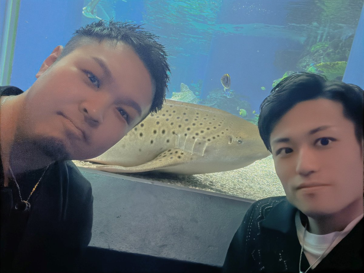 skyblue112212's tweet photo. 水族館デート！
あっという間の8ヶ月！ https://t.co/Y6nAg8bYe6