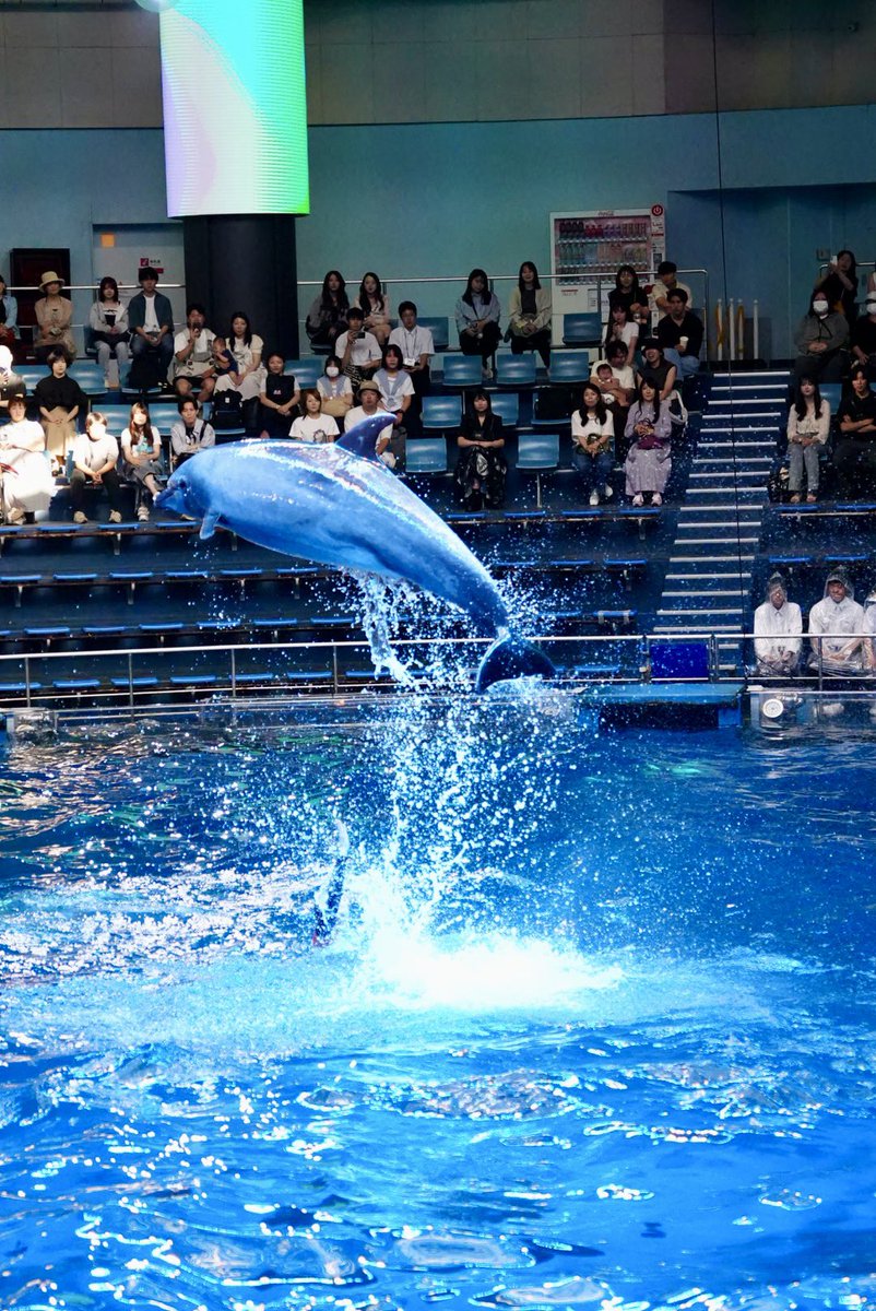 skyblue112212's tweet photo. 水族館デート！
あっという間の8ヶ月！ https://t.co/Y6nAg8bYe6