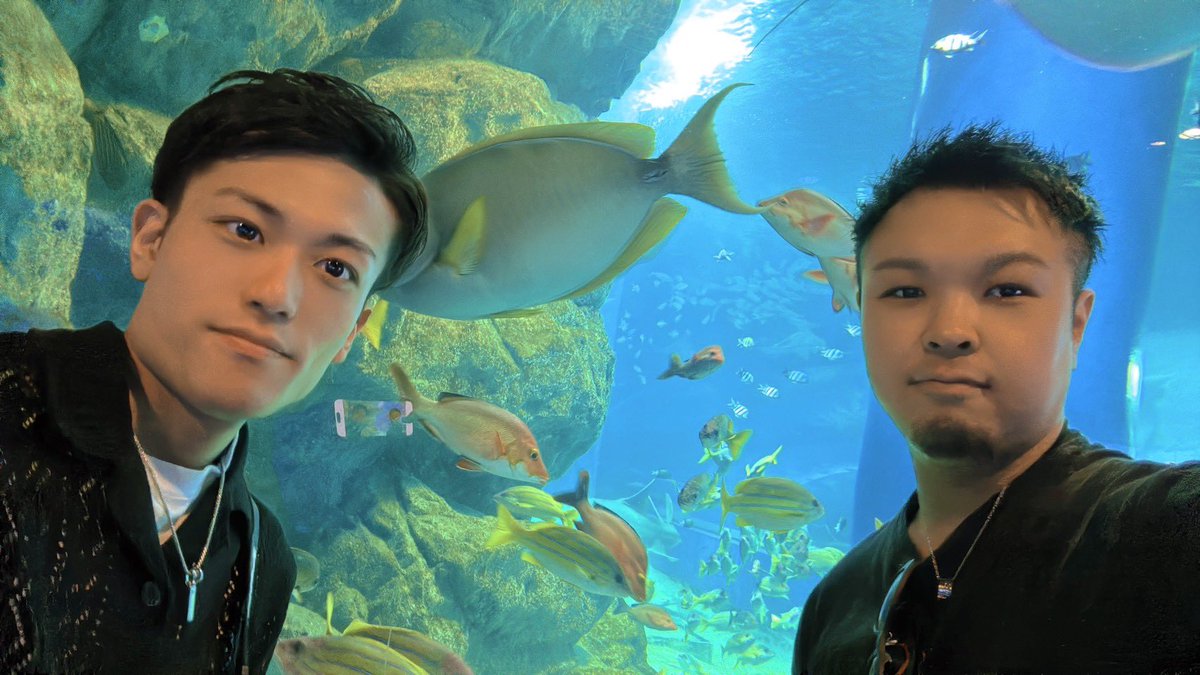 skyblue112212's tweet photo. 水族館デート！
あっという間の8ヶ月！ https://t.co/Y6nAg8bYe6