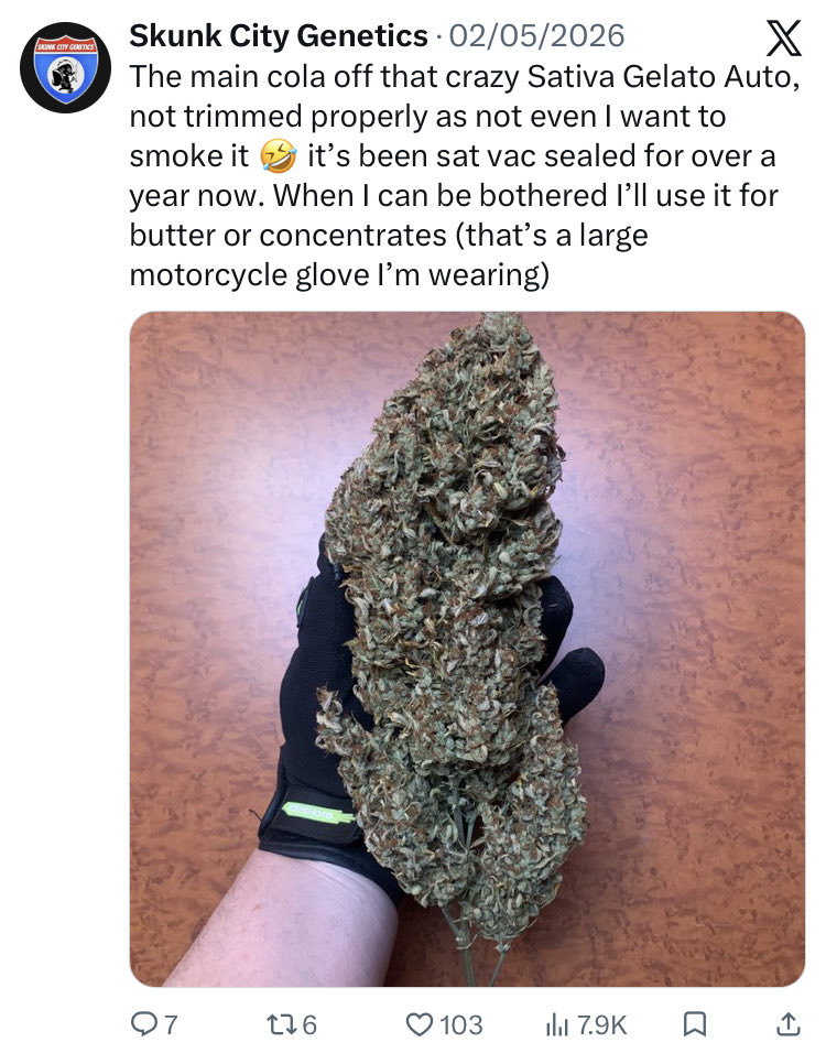skunkcityseeds's tweet photo. @cooncatcrazy @patchemriley Go get your glasses old man, wipe away the tears and read this, you’re embarrassing yourself here https://t.co/mtYHqIMxEM