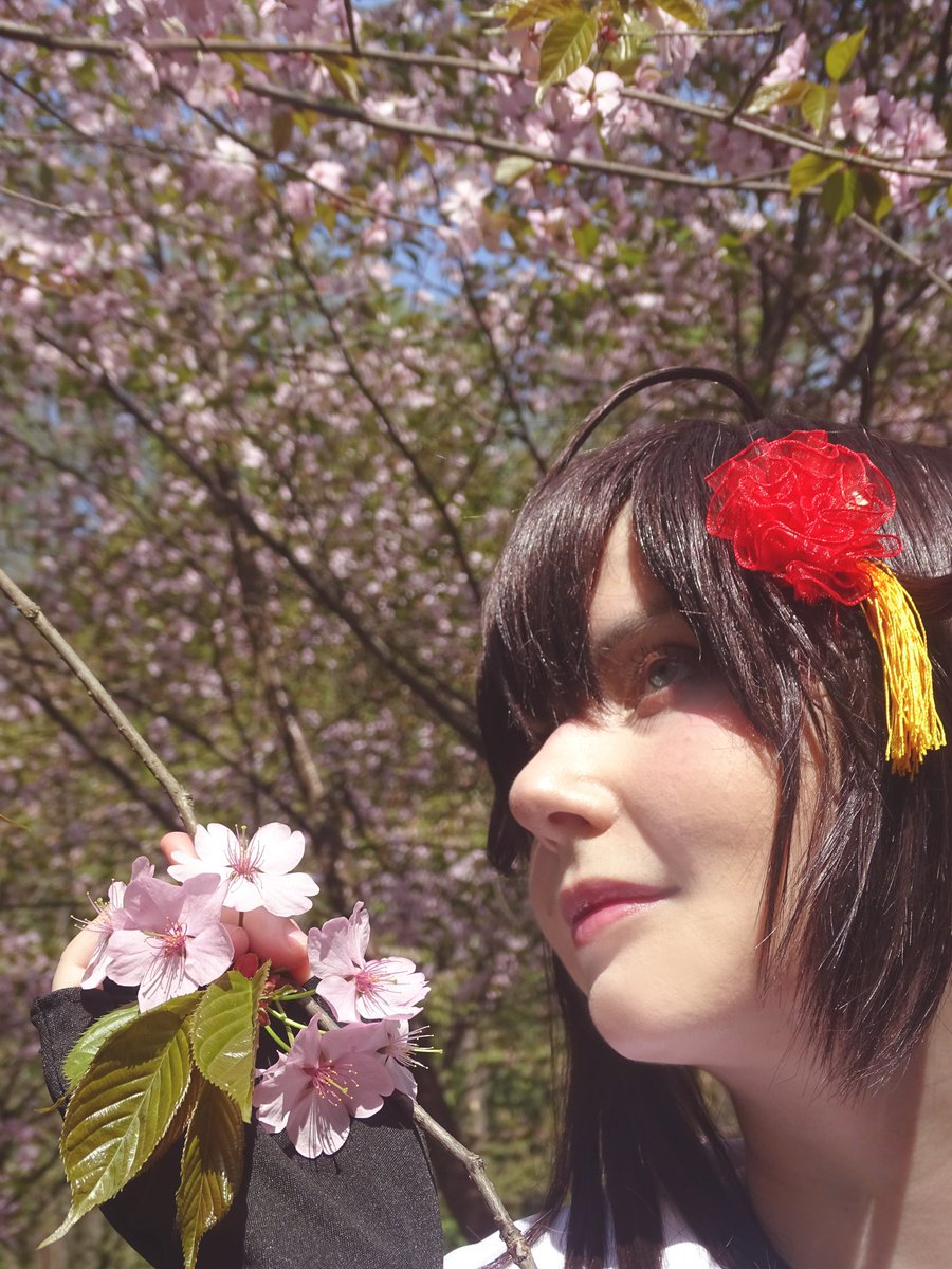 heimatforscher's tweet photo. 時雨は桜を楽しみます。🌸
モスクワ、5月6日

#時雨, #艦これ, #コスプレ https://t.co/wpVw6BJ05L