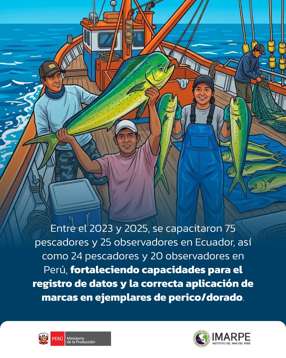 ImarpePeru's tweet photo. 🔎🐟 El IMARPE y el @IpiapEcuador lideran un esfuerzo conjunto para fortalecer el conocimiento científico del perico/dorado (Coryphaena hippurus) en el Pacífico Oriental, a través de un estudio de marcaje que aporta información sobre los desplazamientos de esta especie. https://t.co/Q7UkA09OBO
