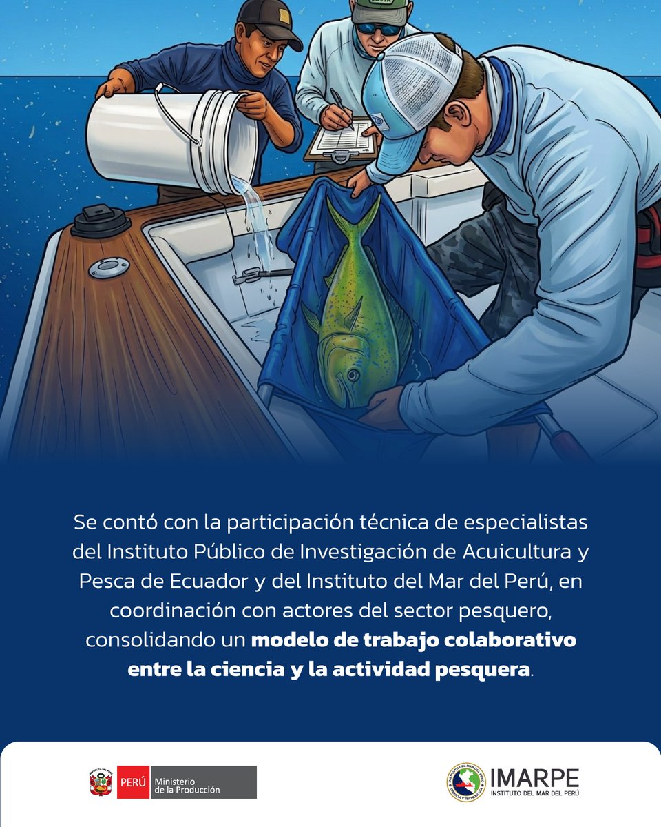 ImarpePeru's tweet photo. 🔎🐟 El IMARPE y el @IpiapEcuador lideran un esfuerzo conjunto para fortalecer el conocimiento científico del perico/dorado (Coryphaena hippurus) en el Pacífico Oriental, a través de un estudio de marcaje que aporta información sobre los desplazamientos de esta especie. https://t.co/Q7UkA09OBO
