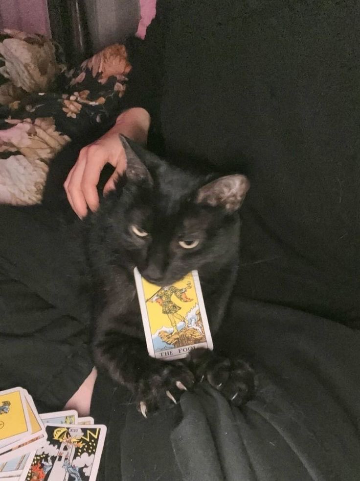𝕋ℍ𝔼 𝕄𝔸𝔾𝕀ℂ𝕀𝔸ℕ ❷❷❷ 𓂀𓁧𓆃 🪄 tweet media