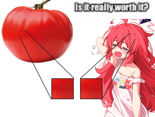 Ice🍅 tweet media