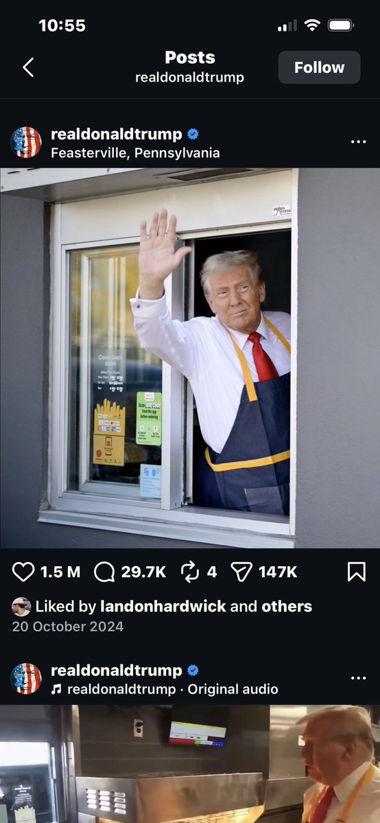 xo tweet media