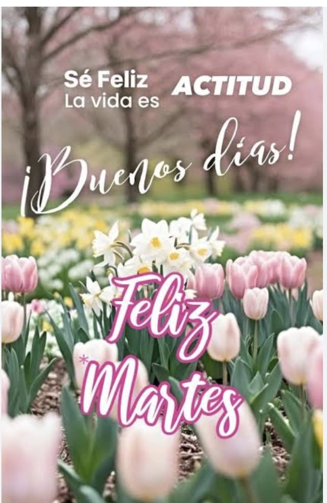Hortensia Moreno tweet media