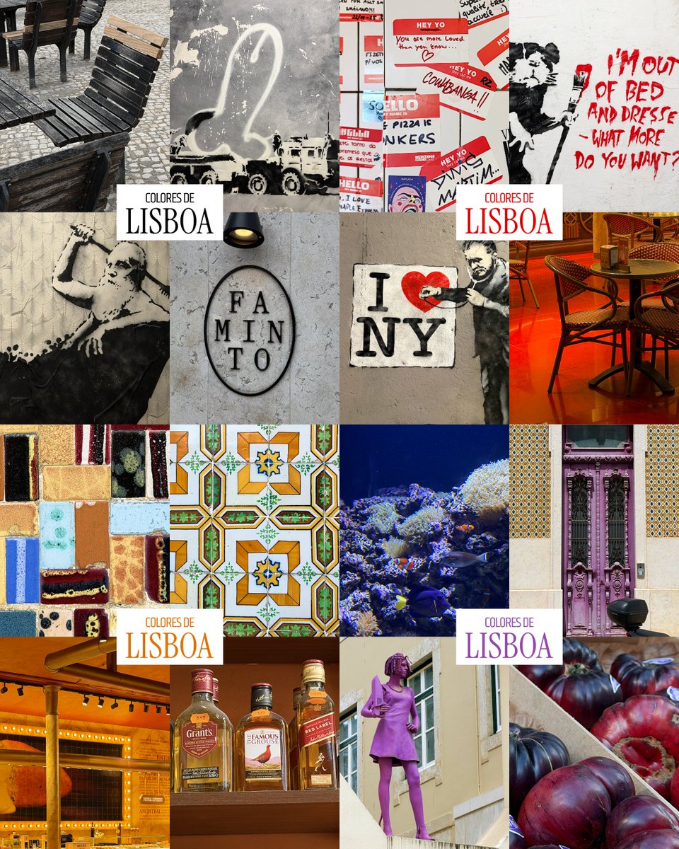 gremio_studio's tweet photo. #Lisboa 🇵🇹 Un lugar donde cada calle, fachada, textura y detalle revela una paleta distinta que refleja la esencia de la ciudad. Los colores se convierten en una forma de capturar momentos, atmósferas y la identidad única de la Ciudad. https://t.co/tvFl5Pptdq