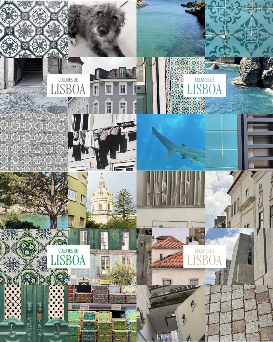 gremio_studio's tweet photo. #Lisboa 🇵🇹 Un lugar donde cada calle, fachada, textura y detalle revela una paleta distinta que refleja la esencia de la ciudad. Los colores se convierten en una forma de capturar momentos, atmósferas y la identidad única de la Ciudad. https://t.co/tvFl5Pptdq