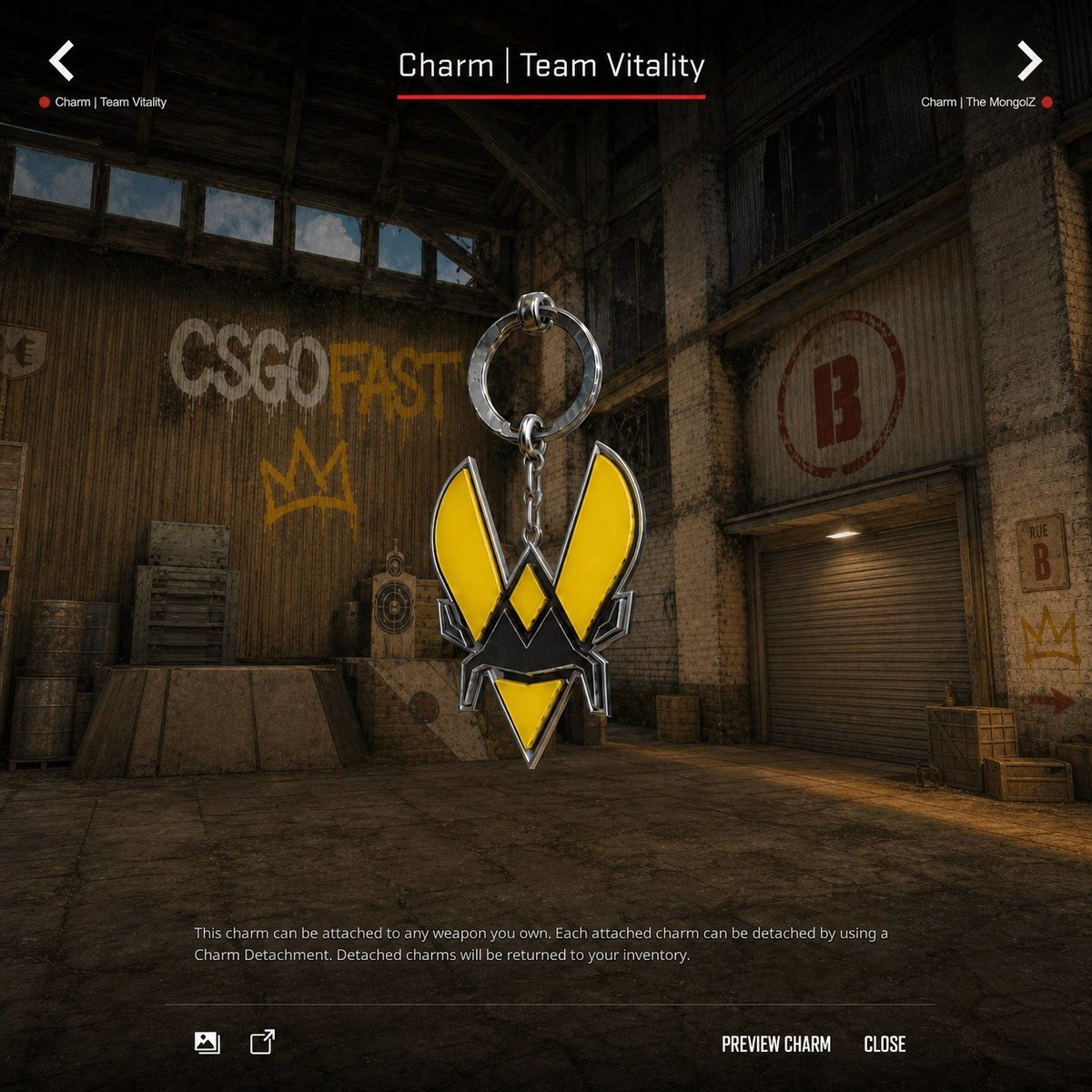 What if CS2 replaced team stickers with charms? 🤔 NaVi, Vitality, FURIA ...