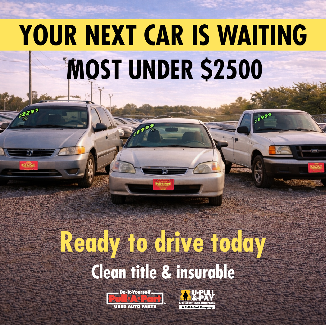 PullAPartAuto's tweet photo. Affordable, reliable, and ready to drive. 🚗 💨 Your next car is waiting. Visit our Used Car Sales Lot today 😊 https://t.co/z9R8th5WVr