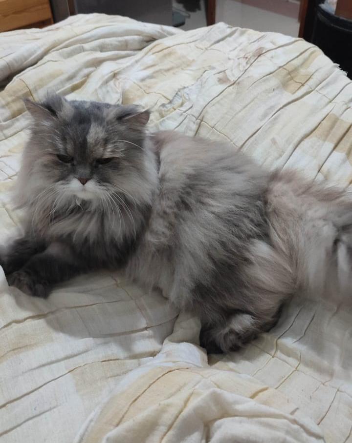 Magd 3yyad tweet media