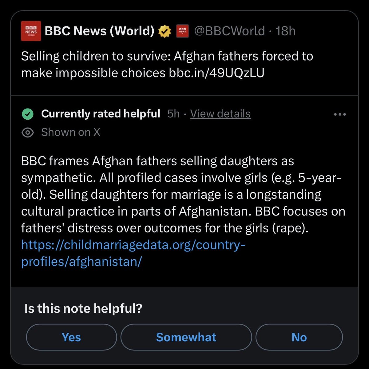 Katie Miller tweet media