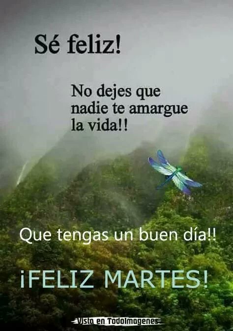 Raulsare22's tweet photo. @NnkDeya https://t.co/5gOn1dRZXL
