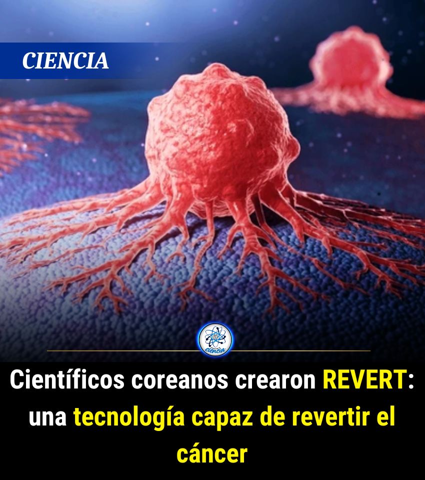 Enséñame de Ciencia tweet media