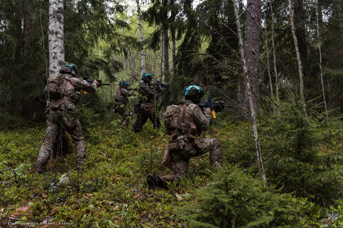 FrForcesEstonia's tweet photo. French troops kick off SpringStorm 2026 strong, operating confidently through the Estonian forests alongside NATO allies. 🇫🇷🇪🇪🇬🇧

#springstorm #kevadtorm #strongertogether https://t.co/kcd9uVaybD