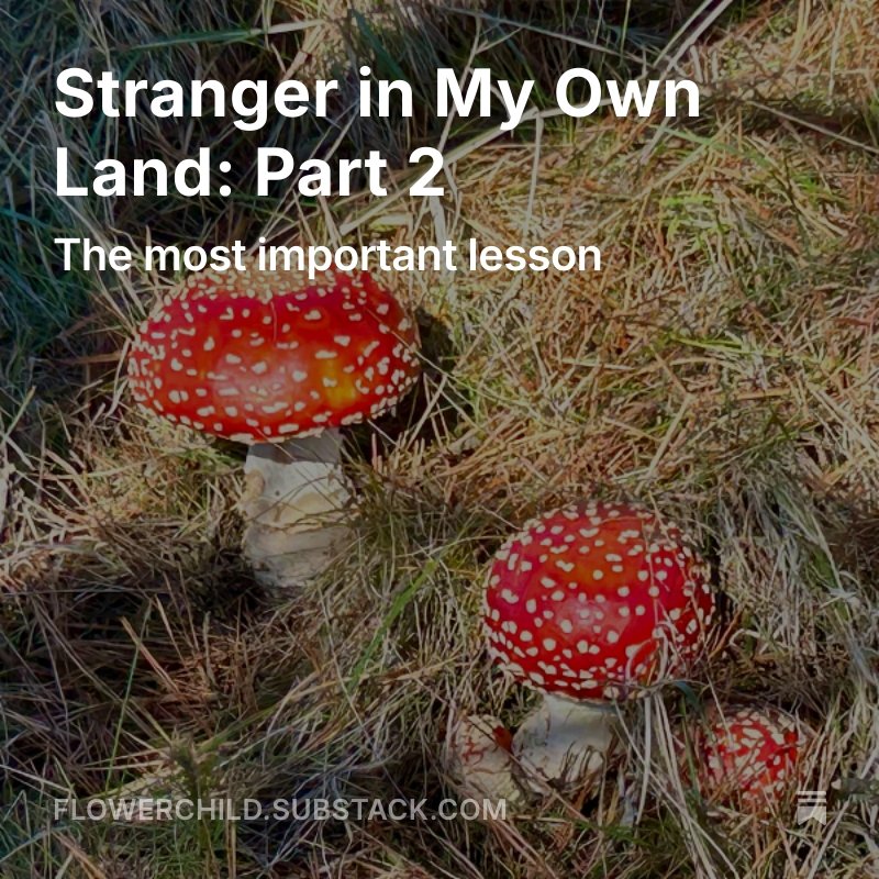 FlowerChildRF's tweet photo. Last week, I shared the first part of a two-part essay in which I attempted to describe an experience that’s notoriously hard to describe. This week, I detail how I learned an important lesson from this experience.

https://t.co/HV6DOr5DGO https://t.co/sFsUPIoouZ