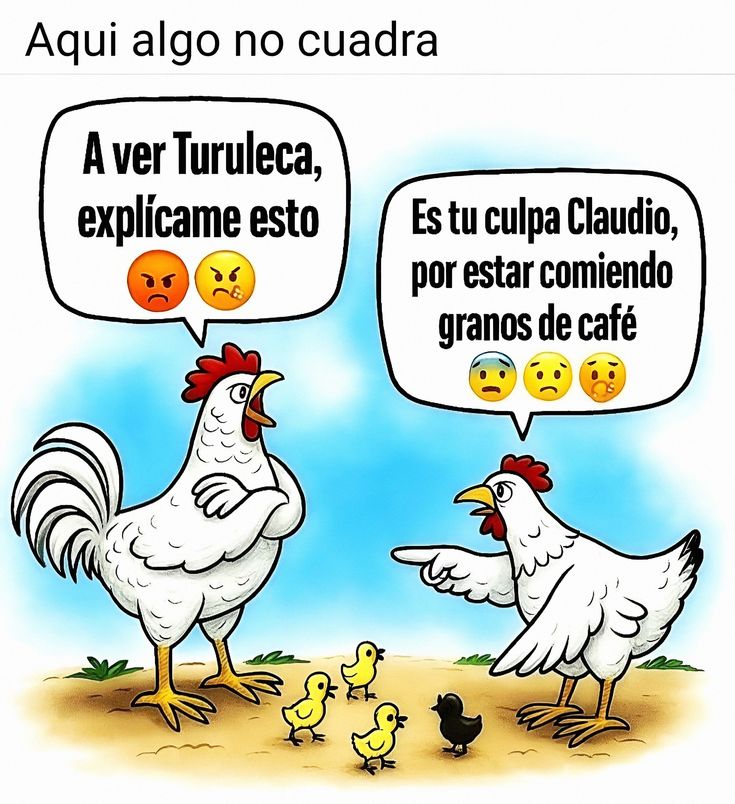 Pauliz tweet media