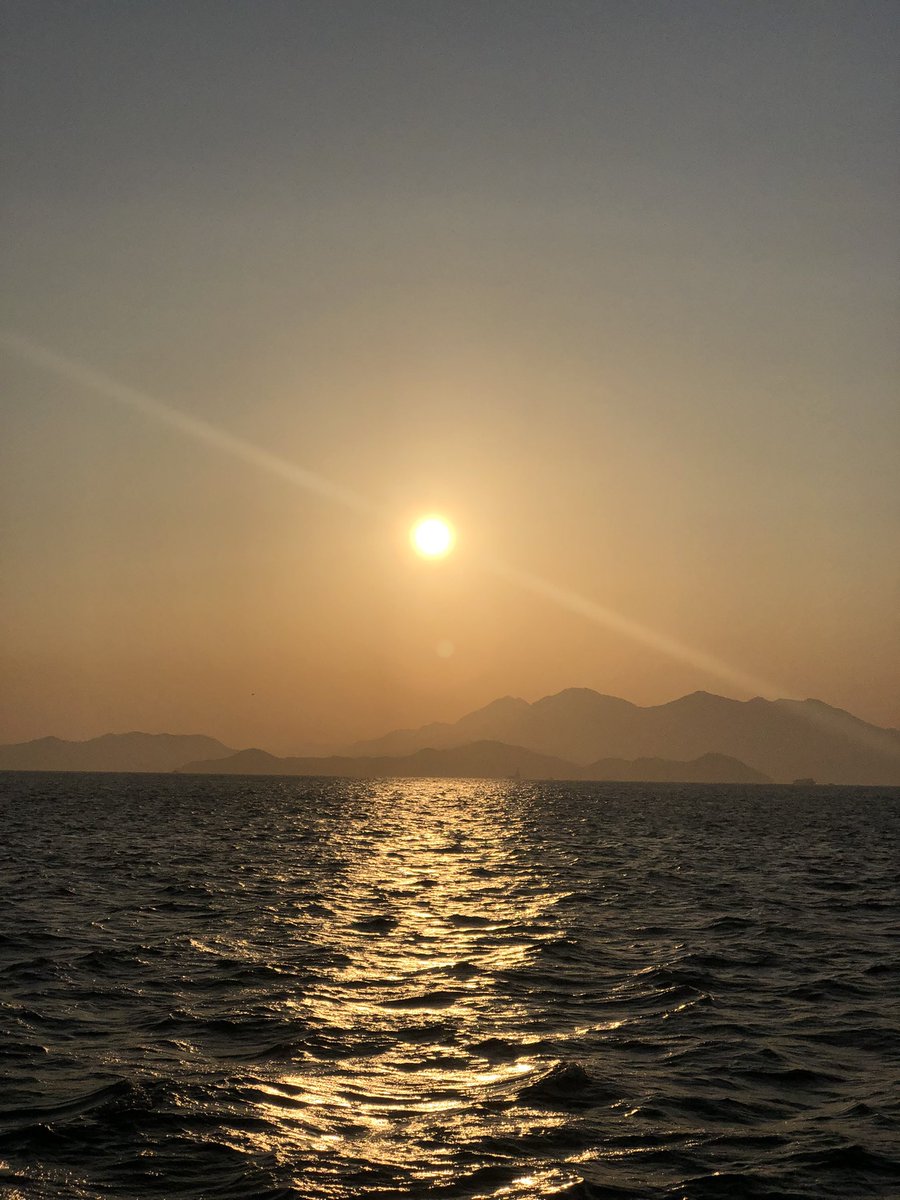 XiaoLee tweet media