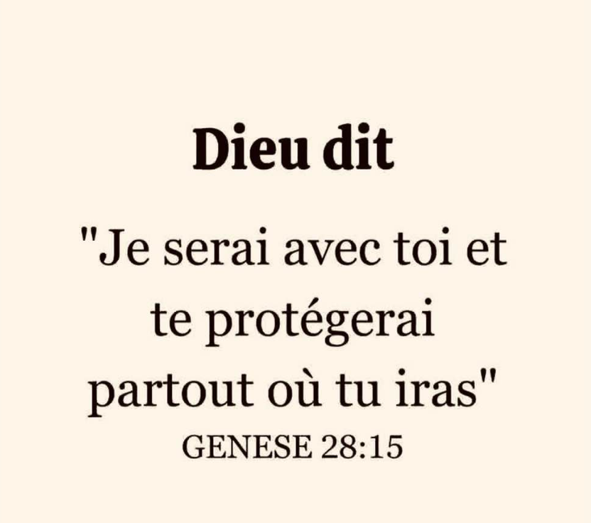 LaBiblesurlenet's tweet photo. https://t.co/DcvBpt4l5e