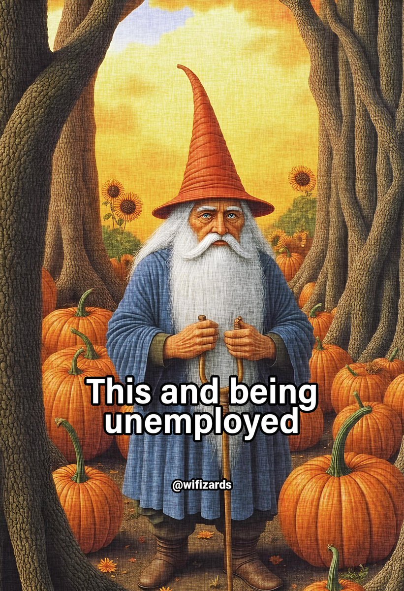 World Wise Wizards tweet media