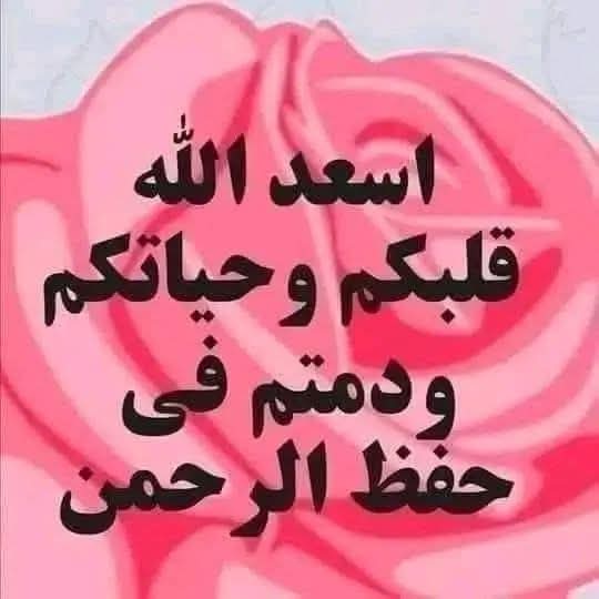 Adel salah tweet media