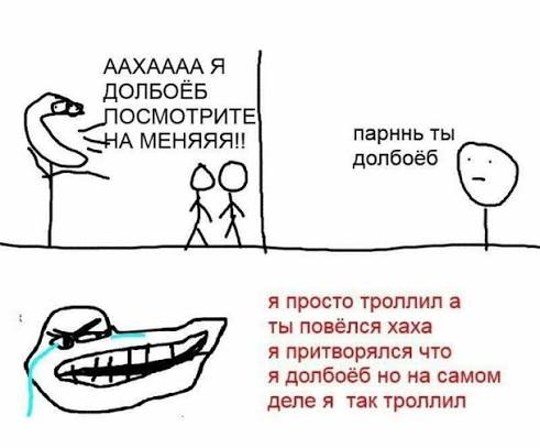 Траурный какаду tweet media
