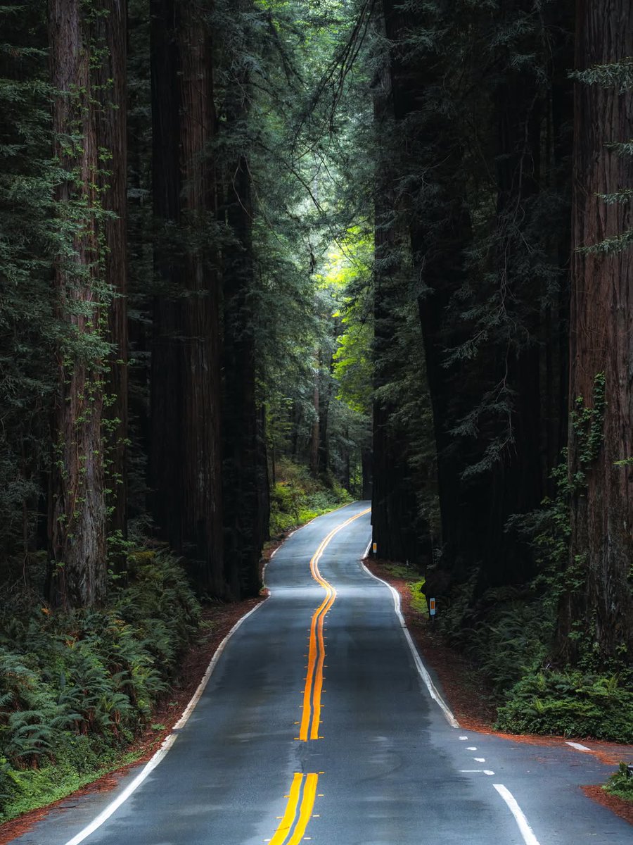 Pure Nature ✨ tweet media