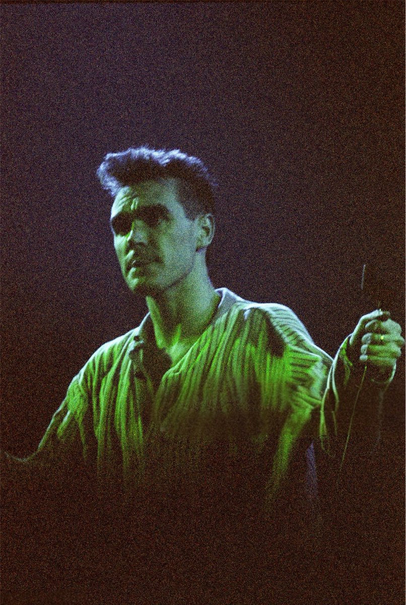 Morrissey Archive tweet media
