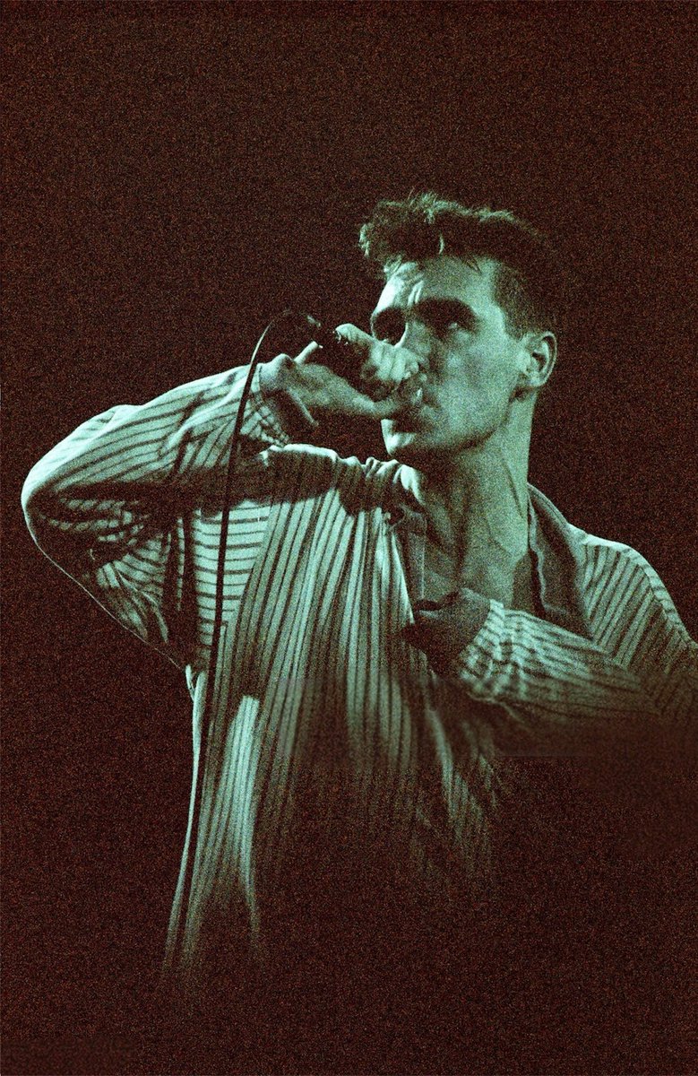 Morrissey Archive tweet media