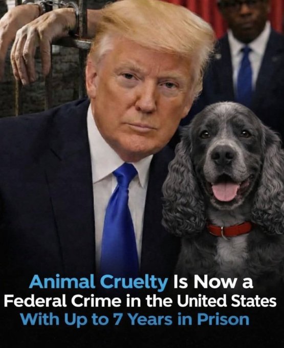 soniastathes's tweet photo. @Crazymoments01 ๐คฌ Unbelievable! This is at least the 5th post in a few days of someone hurting an animal. What the heck is wrong with these monsters? Our @POTUS needs to add more yrs to this law. Hope they all #RotInHell Pls Re-tweet to continue spreading the word on STOP #AnimalCruelty https://t.co/uVzY0q5Rt1