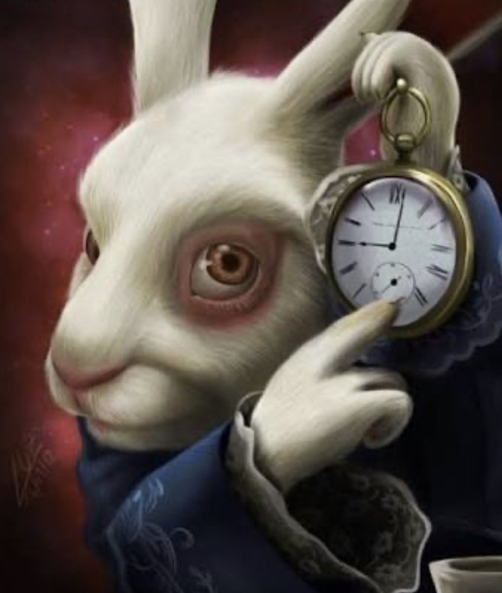 user not found tweet media