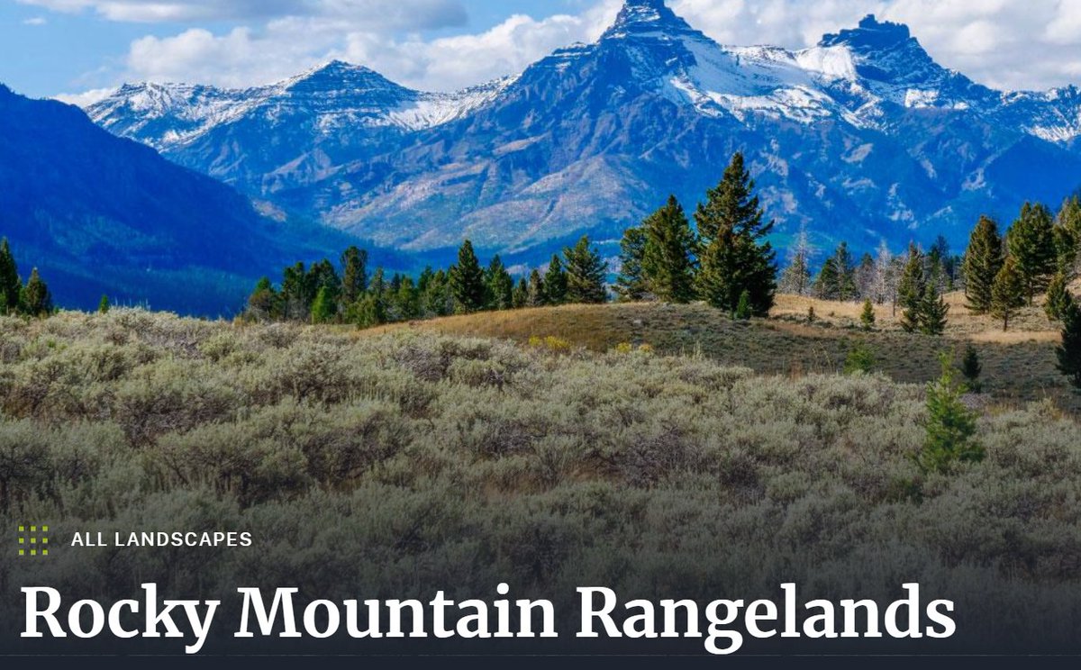 kvuwr60's tweet photo. The NFWF's Rocky Mountain Rangelands program encompasses vast open spaces to protect various species. Their Rocky Mountain Rangelands Business Plan aims to increase the connection between forest and freshwater habitats. https://t.co/Muw7WgJlXZ

#60animals https://t.co/JwaNCtFB3z